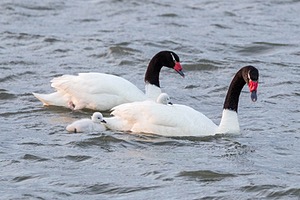 20191205-0016.jpg
