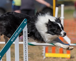 20160619-CCKC-1794.jpg