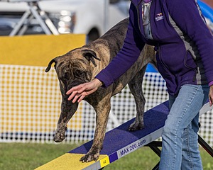 Tiggrr Smith