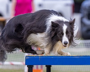 20230917-PVKC-2772.jpg