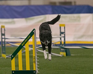 20150321-LEAP-0308.jpg