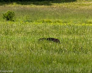 20220613-WD-0184.jpg