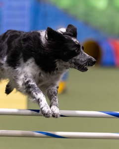 20260221-0877.jpg