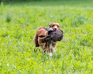 20220604-SHL-1334.jpg