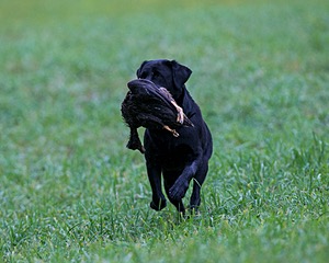 20150913-SEAL-0359.jpg