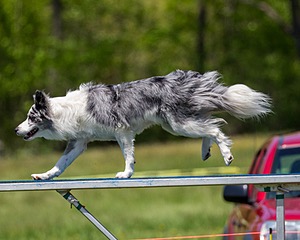 20170520-NEAT-1551.jpg