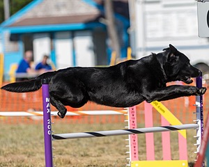 20160618-CCKC-2489.jpg