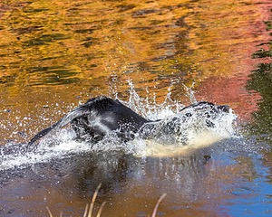 20201011-WCIW-0026.jpg