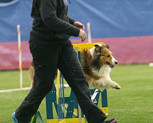 20150321-LEAP-1387.jpg