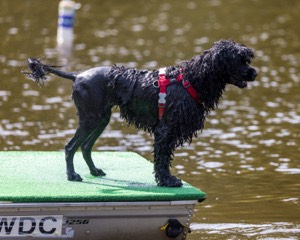 "Trixie" and Trish