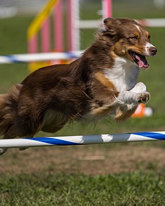 20220917-PVKC-0205.jpg