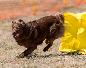 20160619-CCKC-1332.jpg