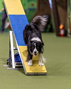 Breeze Schunk