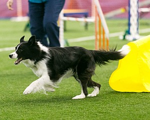 20150322-LEAP-0477.jpg