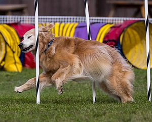 20230917-PVKC-2824.jpg