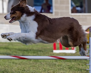 20230916-PVKC-1688.jpg