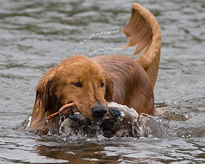20080531-HRW-0736.jpg