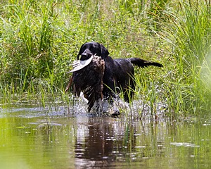 20130714-MHB2-0109.jpg
