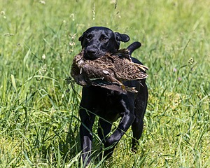 20210606-SEAL-1591.jpg