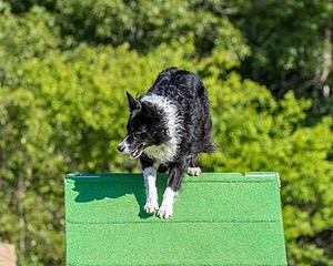 20160619-CCKC-0233.jpg