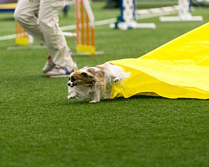 20150322-LEAP-0067.jpg