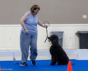 R15 - GCH CH LANDACRE'S NORDIC SAILOR DN CGC TKI
