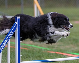 20200819-1893.jpg
