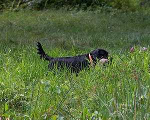 20130810-JHW-0314.jpg