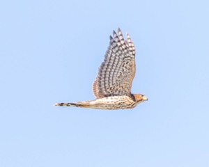20190921-C-0009.jpg