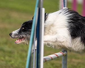 20220918-PVKC-0244.jpg