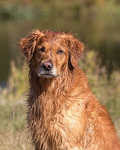 20160924-MH2-0258-2.jpg