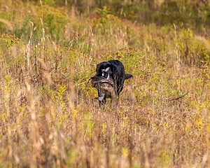20191013-WCL-0006.jpg
