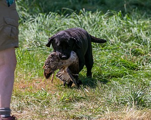 20150801-LRCGB-1333.jpg