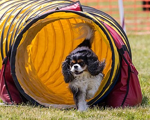 20180616-1277.jpg