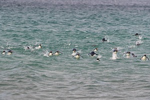 20191210-0414.jpg