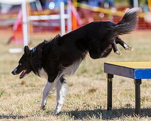 20160618-CCKC-0189.jpg