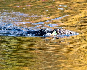 20201011-WCIW-0030.jpg