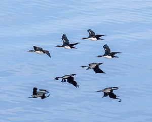 20260327-0204.jpg