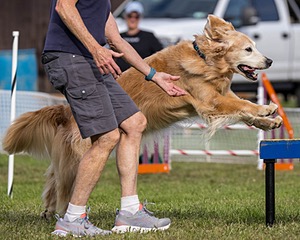 20230917-PVKC-2826.jpg