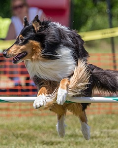 20180616-0737.jpg