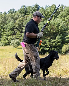 Bolt Sboro