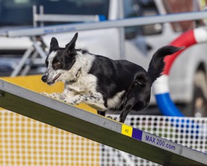 20230916-PVKC-1618.jpg