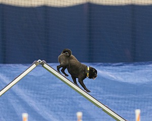 20150321-LEAP-1680.jpg