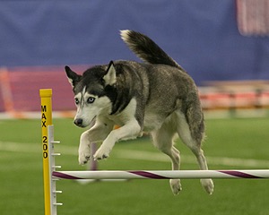 20150321-LEAP-1097.jpg