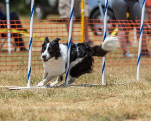 20160619-CCKC-1030.jpg
