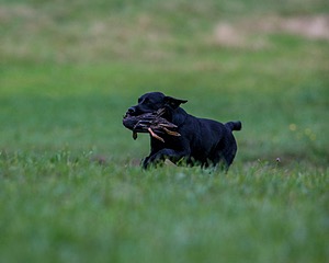 20150913-SEAL-0340.jpg