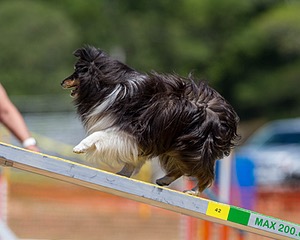 20160619-CCKC-1144.jpg