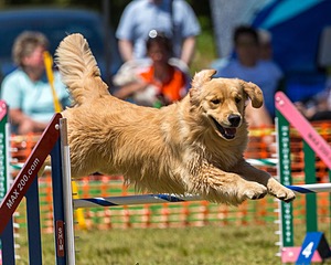 20190615-CCKC-1065.jpg