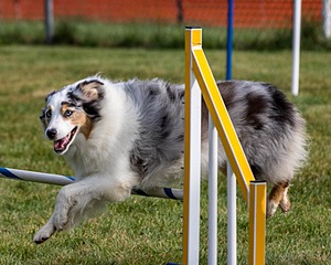 20200819-0165.jpg