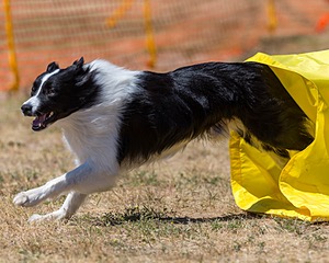 20160619-CCKC-1345.jpg